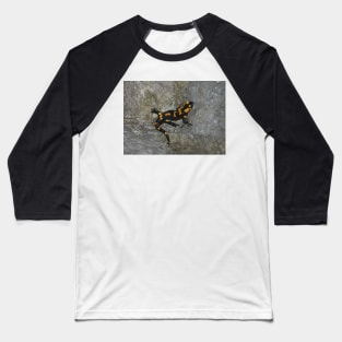 Fire Salamander on Rock Baseball T-Shirt